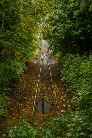 End of raiway in Bily Potok pod Smrkem station in rainy summer wet day