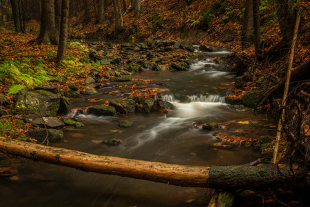 Hamersky creek with waterfalls in Luzicke mountains in color autumn rainy day