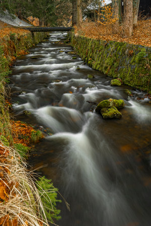 Bila Opava river in Jeseniky mountains in spring fresh morningの写真素材