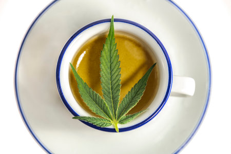 Marijuana light green leaf on blue white cupの写真素材