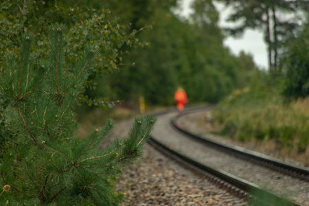 Surveyors with instruments on railway track near fresh green forest in south Bohemiaの写真素材