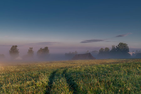 Color dew wet mist summer morning near railway track from Czech to Austriaの写真素材