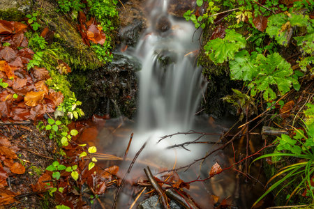Small creek from hillside near Ponikly waterfall after night rain in autumn morning