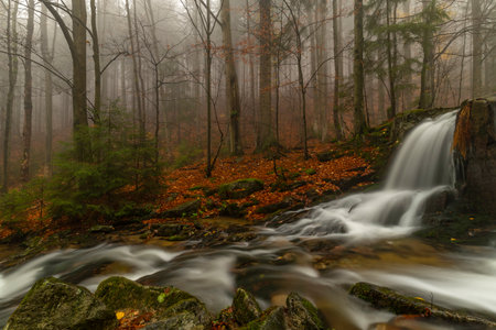 Ponikly waterfall with flood water after night rain in autumn foggy morningの写真素材