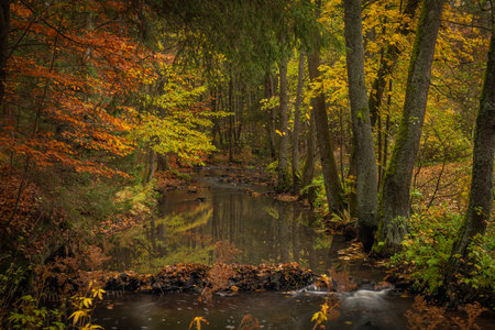 Doubrava river with color rock with moss in autumn rainy day near Bilek village