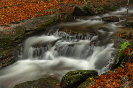 Ponikly creek with flood water after night rain in autumn foggy morning