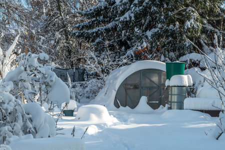 Snowy cold garden with deep white snow and tall trees and blue sunny sky