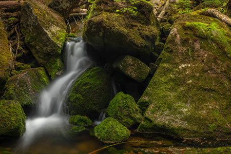 Jeleni waterfall in spring sunny cloudy day in fresh color Jizerske mountainsの写真素材