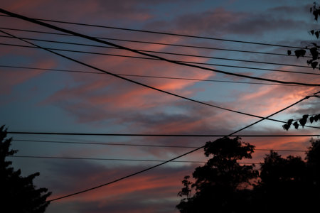 Color sky after sunset with silhouette of electric wires and dark treesの写真素材