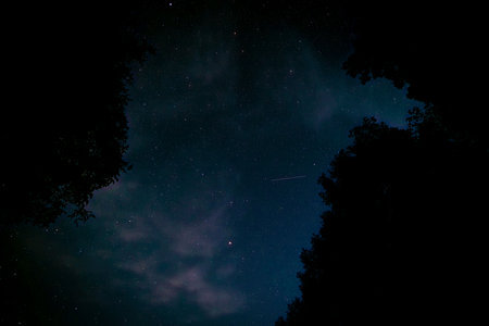 Dark night with stars on blue sky with silhouette of houses and trees