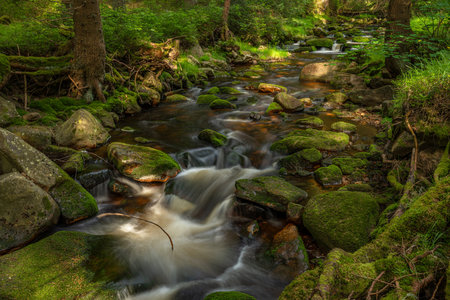 Rolava river with orange bed and green grass on bank in summer hot morningの写真素材