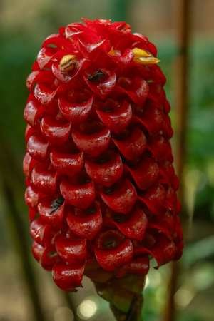 Botanical garden with color blossoms of flowers in summer hot sunny morningの写真素材