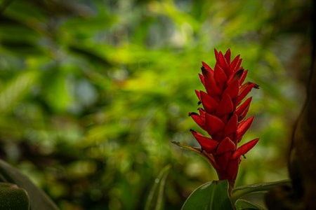 Botanical garden with color blossoms of flowers in summer hot sunny morningの写真素材