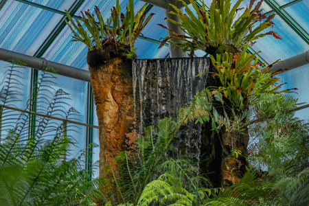 Botanical garden with color blossoms of flowers in summer hot sunny morningの写真素材