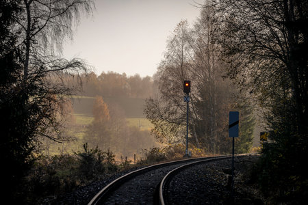 Railway track for engine unit passenger trains in autumn foggy cold morning from treesの写真素材
