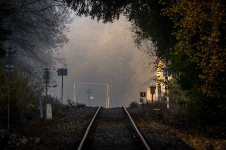 Railway track for engine unit passenger trains in autumn foggy cold morning from treesの写真素材