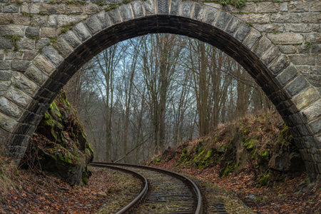 Old stone road bridge over railway in autumn day near Malenice stopの写真素材
