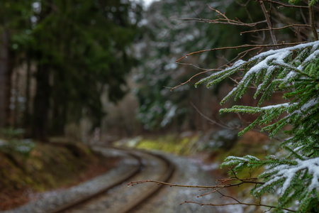 Railway track in winter forest near Lcovice stop mountains villageの写真素材