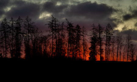 Red sunrise with windfall forest in winter morning near Batelov townshipの写真素材
