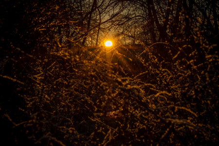 Sunrise with orange sun and winter snowy landscape near Nepomuk Bohemia townの写真素材