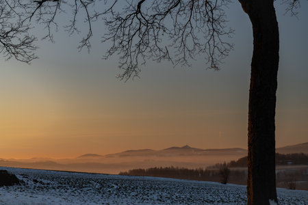 Winter frosty color view for sunset over road with silhouette of treesの写真素材