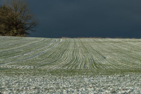 Sunrise with orange sun and winter snowy landscape near Nepomuk Bohemia townの写真素材