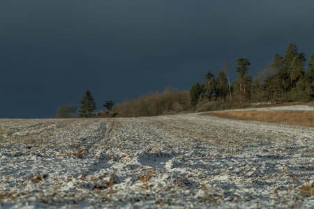 Sunrise with orange sun and winter snowy landscape near Nepomuk Bohemia townの写真素材