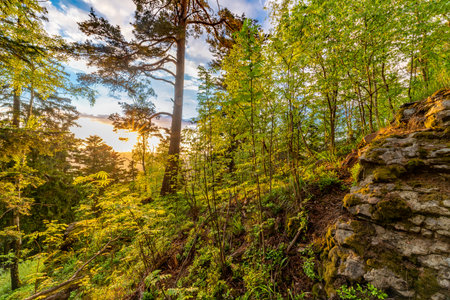 Spring sunset view for forest on hill Svatobor near town Susice in south west Bohemiaの写真素材