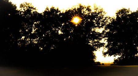 Hot summer dry sunset evening in Polabi area near Olesko villageの写真素材