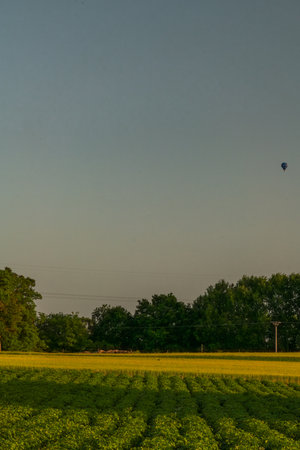 Hot summer dry sunset evening in Polabi area near Olesko villageの写真素材