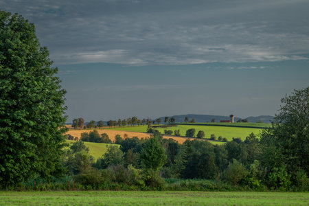 Sunset on summer hot dry grain field and green meadow