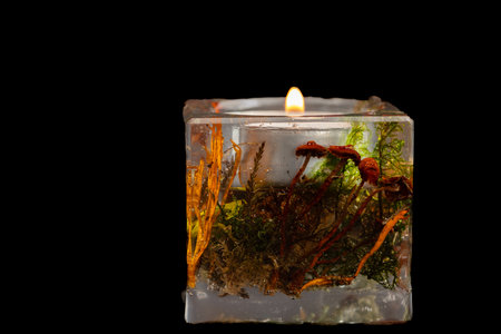 Hand made home decoration wax candle with dark black backgroundの写真素材