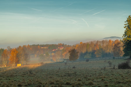 Color fresh sunrise morning in Sumava mountains near Lipno reservoir near Horice na Sumavaの写真素材