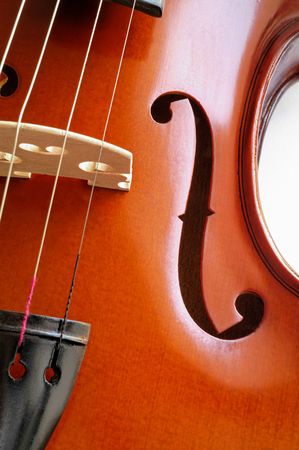 Musical instruments: violin closeup showing the bridge