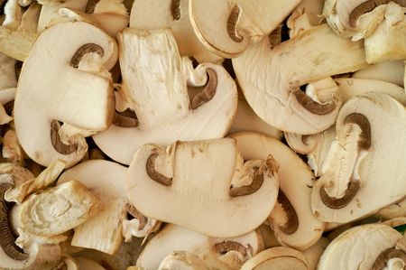 Mushrooms backgroundの写真素材