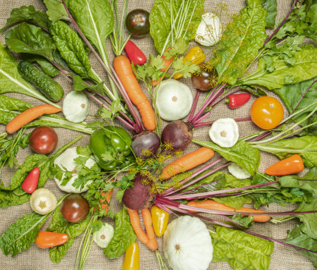 harvest of organic vegetables - beets, carrots, squash, tomatoes, parsley, paprika flat layの写真素材