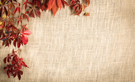 background of coarse linen fabric with a vignette of bright autumn leavesの写真素材