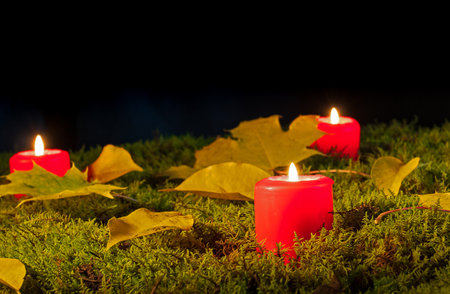 Autumn theme - red candles burn among moss and fallen leavesの写真素材