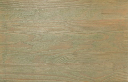 Background wooden slab of pine artificially aged green shadeの写真素材