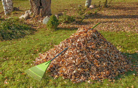 Autumn cleaning in the garden.A pile of collected leaves on the lawn on a bright sunny dayの写真素材