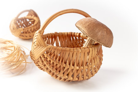Basket with boletus mushroom on a white background, close-up.の写真素材