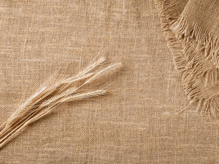 Rustic Background: Barley Ears and Burlap Napkin with Space for Textの写真素材