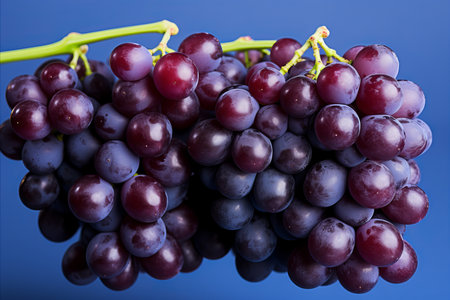 Close-up of Dark Grape Cluster on Rich Blue Background with Selective Focus and Copy Spaceの素材