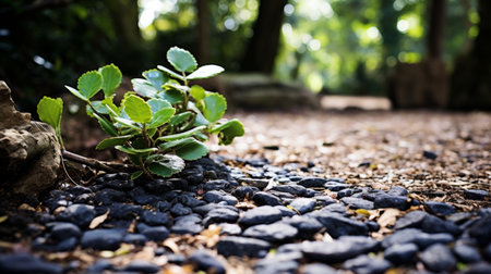 Diverse garden path designs and materials for creating enchanting and inspiring pathwaysの素材