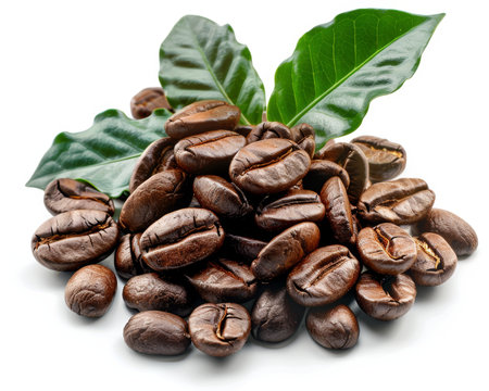Close up of roasted coffee beans with fresh green leaves on a clean white backgroundの素材