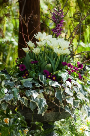 Beautiful flowers and plants in a big vase in the garden の写真素材