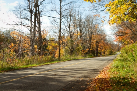 Country road in Autumnの写真素材