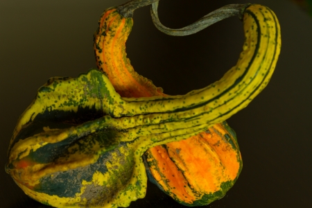 Gourdsの写真素材