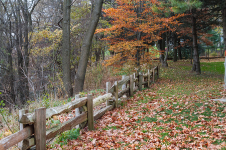 Autumn at the park with wooden fence in backgroundの写真素材