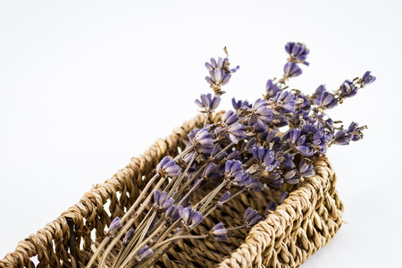 Dried lavender flowersの写真素材